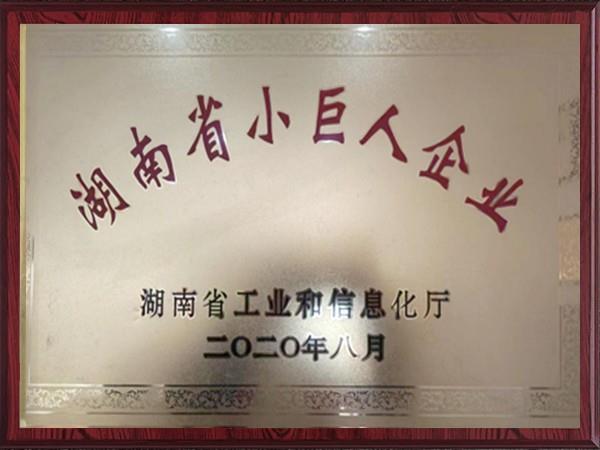 湖南省小巨人企業(yè)