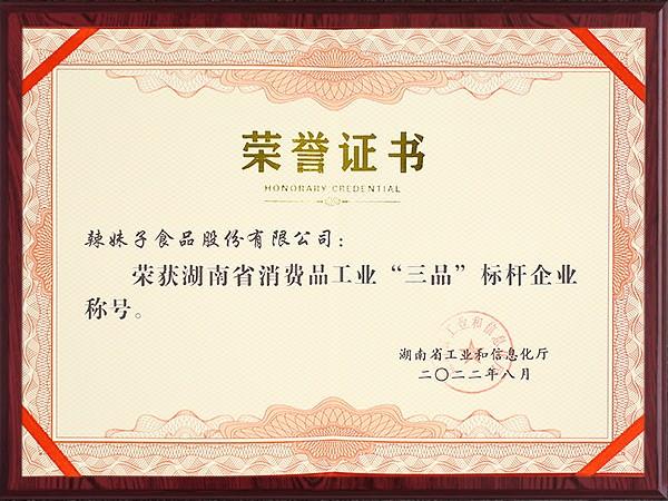 榮譽(yù)證書(shū)