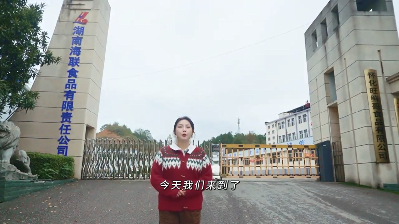 探崗之旅